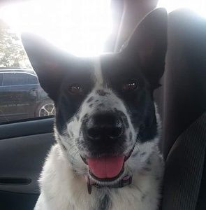 Meet your Posher, Alicia